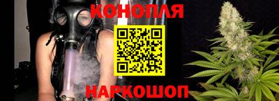 кокс Бийск