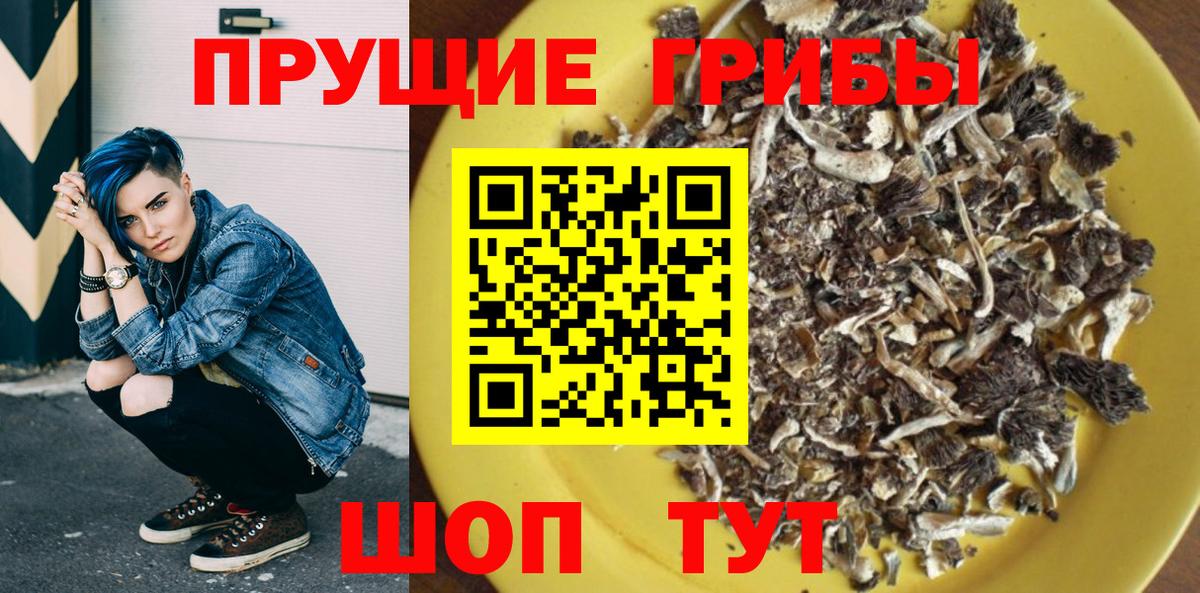 Псилоцибиновые грибы Cubensis Каменка